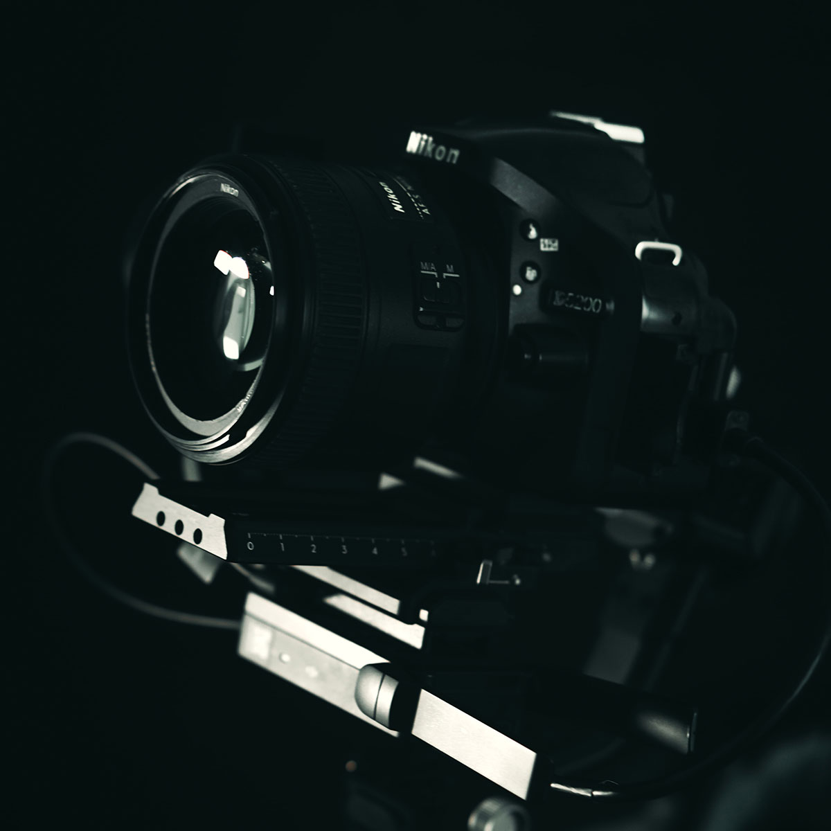 REPORTAJE FOTOGRÁFICO DE CALIDAD